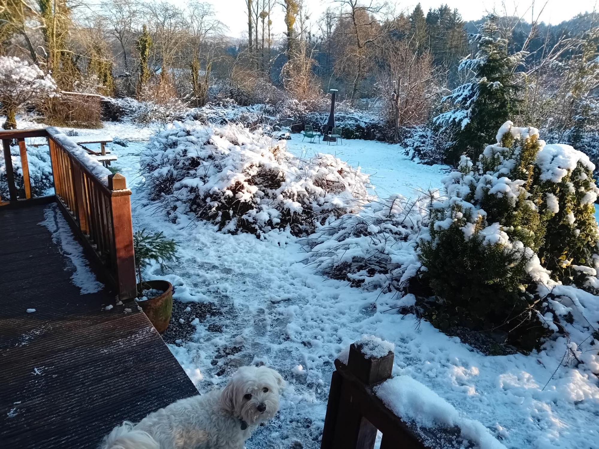 Chalet Barvaux Met Grote Tuin Durbuy Bagian luar foto